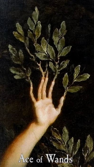 The Pensive Path Tarot card