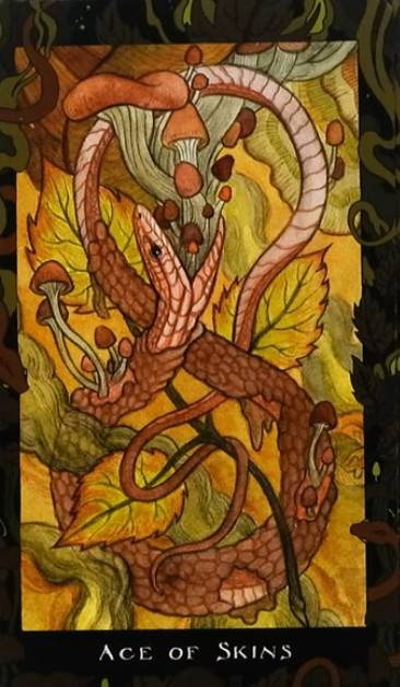 the blood moon tarot card